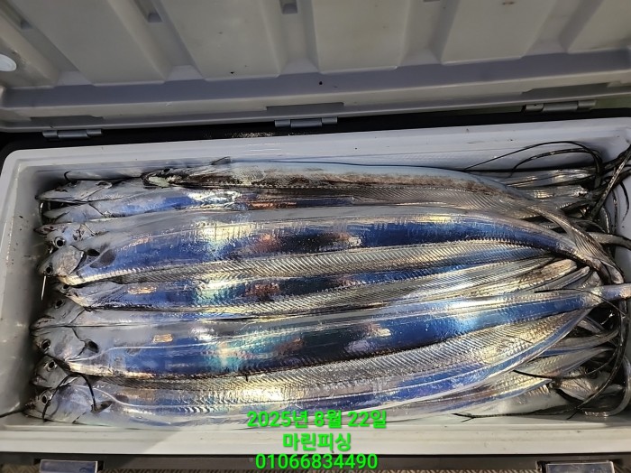 249aa304256354a3ad56d724c62484aa_1755819992_7933.jpg 249aa304256354a3ad56d724c62484aa_1755819992_7933.jpg