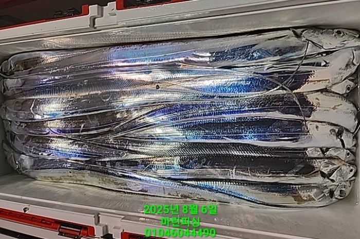 2705a165af74f65a554ece22be23f6f3_1754442016_5539.jpg 2705a165af74f65a554ece22be23f6f3_1754442016_5539.jpg