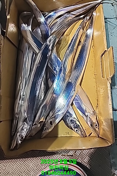 2705a165af74f65a554ece22be23f6f3_1754442017_2169.jpg 2705a165af74f65a554ece22be23f6f3_1754442017_2169.jpg