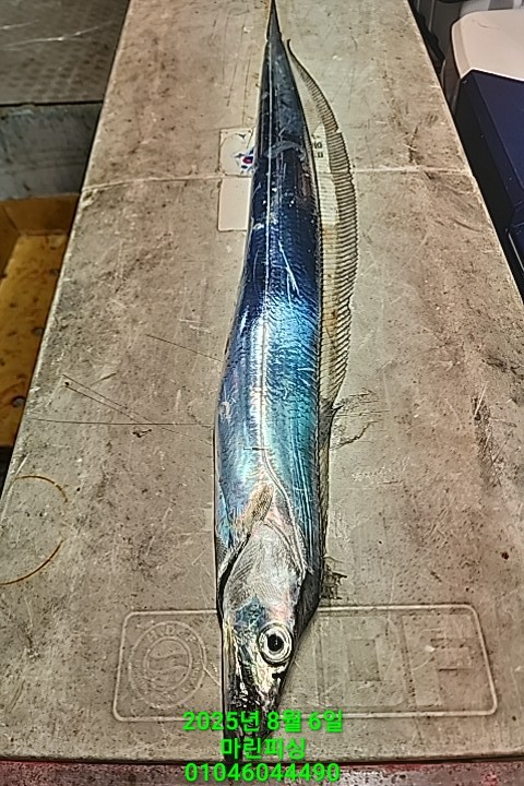 2705a165af74f65a554ece22be23f6f3_1754442017_7018.jpg 2705a165af74f65a554ece22be23f6f3_1754442017_7018.jpg