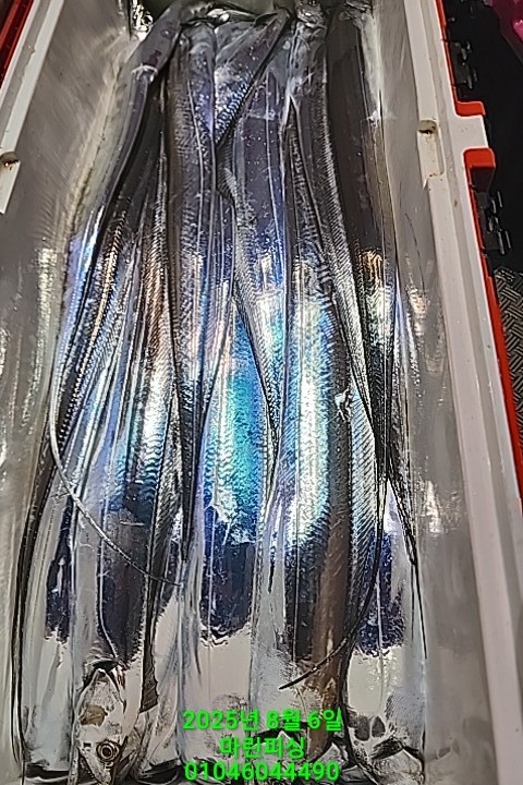 2705a165af74f65a554ece22be23f6f3_1754442017_9178.jpg 2705a165af74f65a554ece22be23f6f3_1754442017_9178.jpg