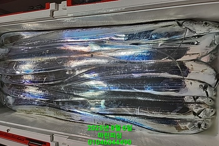 2705a165af74f65a554ece22be23f6f3_1754442018_2393.jpg 2705a165af74f65a554ece22be23f6f3_1754442018_2393.jpg