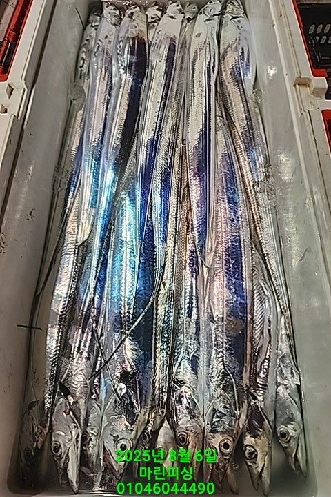 2705a165af74f65a554ece22be23f6f3_1754442018_4938.jpg 2705a165af74f65a554ece22be23f6f3_1754442018_4938.jpg