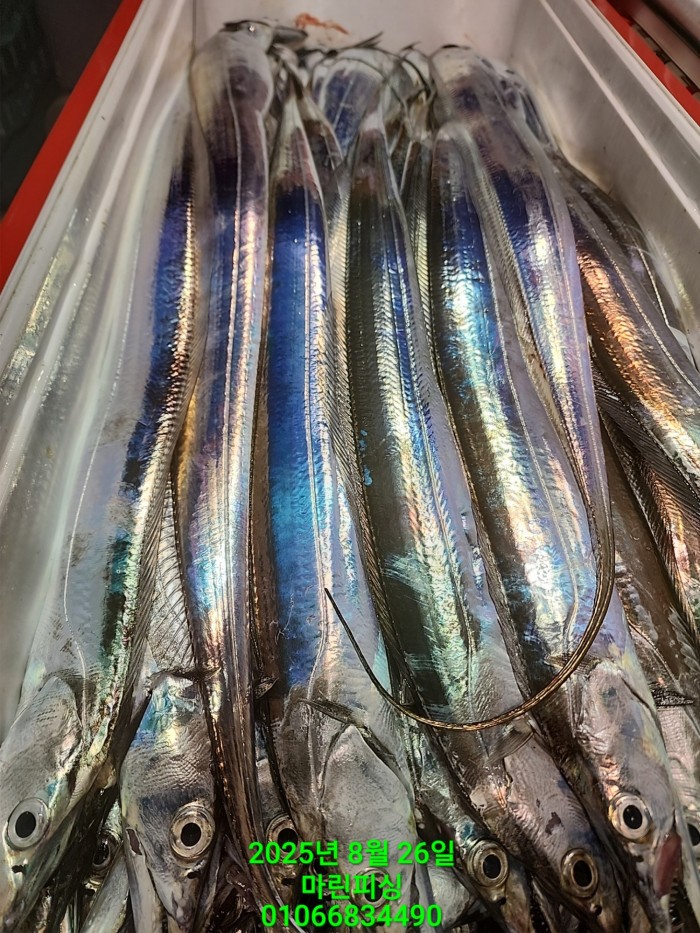 69759eb2e94e42ee56b861a6d58949c3_1756165599_0453.jpg 69759eb2e94e42ee56b861a6d58949c3_1756165599_0453.jpg