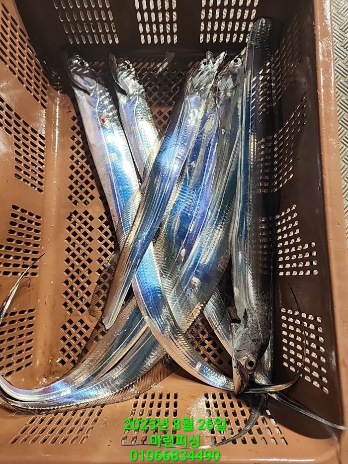 69759eb2e94e42ee56b861a6d58949c3_1756165601_0369.jpg 69759eb2e94e42ee56b861a6d58949c3_1756165601_0369.jpg