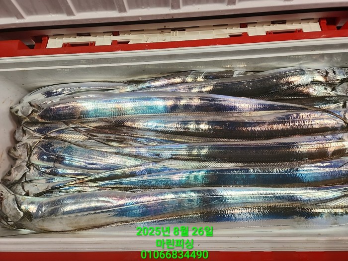 69759eb2e94e42ee56b861a6d58949c3_1756165604_2214.jpg 69759eb2e94e42ee56b861a6d58949c3_1756165604_2214.jpg