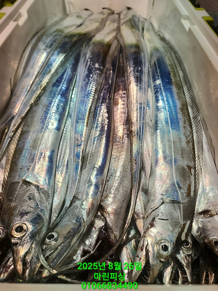 69759eb2e94e42ee56b861a6d58949c3_1756165605_8706.jpg 69759eb2e94e42ee56b861a6d58949c3_1756165605_8706.jpg