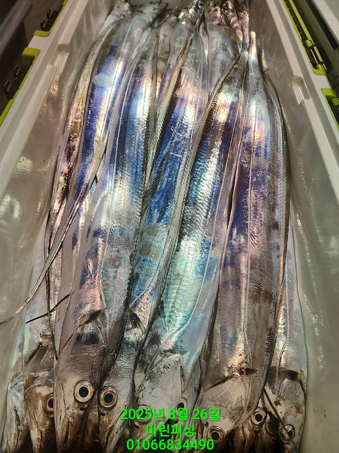 69759eb2e94e42ee56b861a6d58949c3_1756165607_7186.jpg 69759eb2e94e42ee56b861a6d58949c3_1756165607_7186.jpg