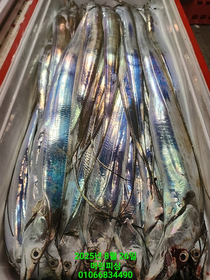 69759eb2e94e42ee56b861a6d58949c3_1756165609_481.jpg 69759eb2e94e42ee56b861a6d58949c3_1756165609_481.jpg