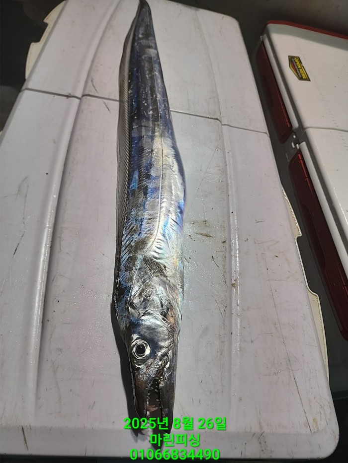 69759eb2e94e42ee56b861a6d58949c3_1756165610_7345.jpg 69759eb2e94e42ee56b861a6d58949c3_1756165610_7345.jpg