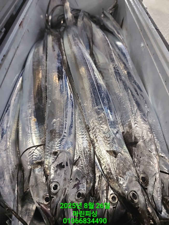 69759eb2e94e42ee56b861a6d58949c3_1756165612_1832.jpg 69759eb2e94e42ee56b861a6d58949c3_1756165612_1832.jpg