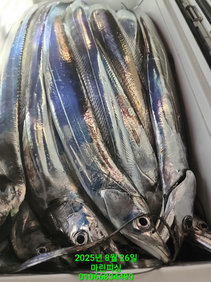 69759eb2e94e42ee56b861a6d58949c3_1756165613_5591.jpg 69759eb2e94e42ee56b861a6d58949c3_1756165613_5591.jpg