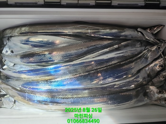 69759eb2e94e42ee56b861a6d58949c3_1756165614_8934.jpg 69759eb2e94e42ee56b861a6d58949c3_1756165614_8934.jpg