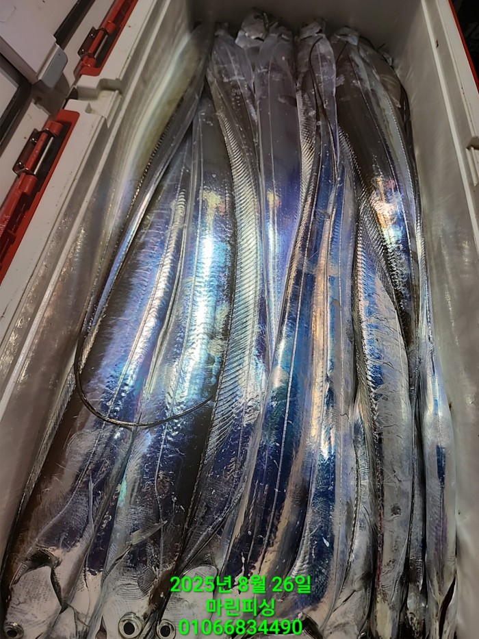 69759eb2e94e42ee56b861a6d58949c3_1756165616_5145.jpg 69759eb2e94e42ee56b861a6d58949c3_1756165616_5145.jpg