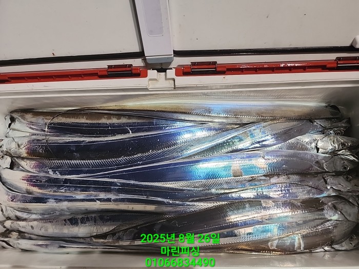 69759eb2e94e42ee56b861a6d58949c3_1756165618_4434.jpg 69759eb2e94e42ee56b861a6d58949c3_1756165618_4434.jpg