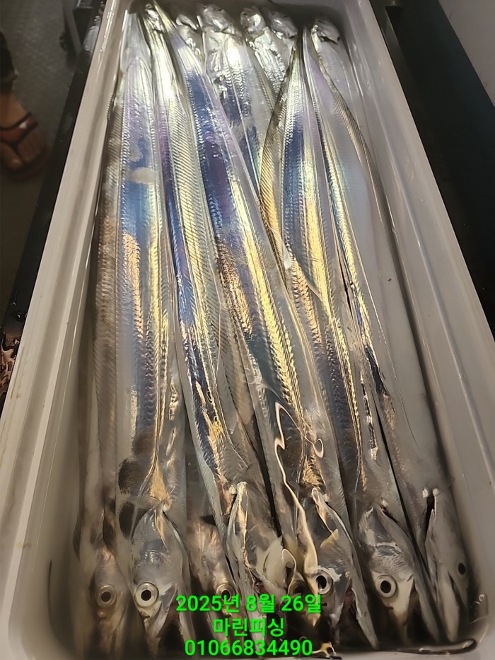 69759eb2e94e42ee56b861a6d58949c3_1756165619_8409.jpg 69759eb2e94e42ee56b861a6d58949c3_1756165619_8409.jpg