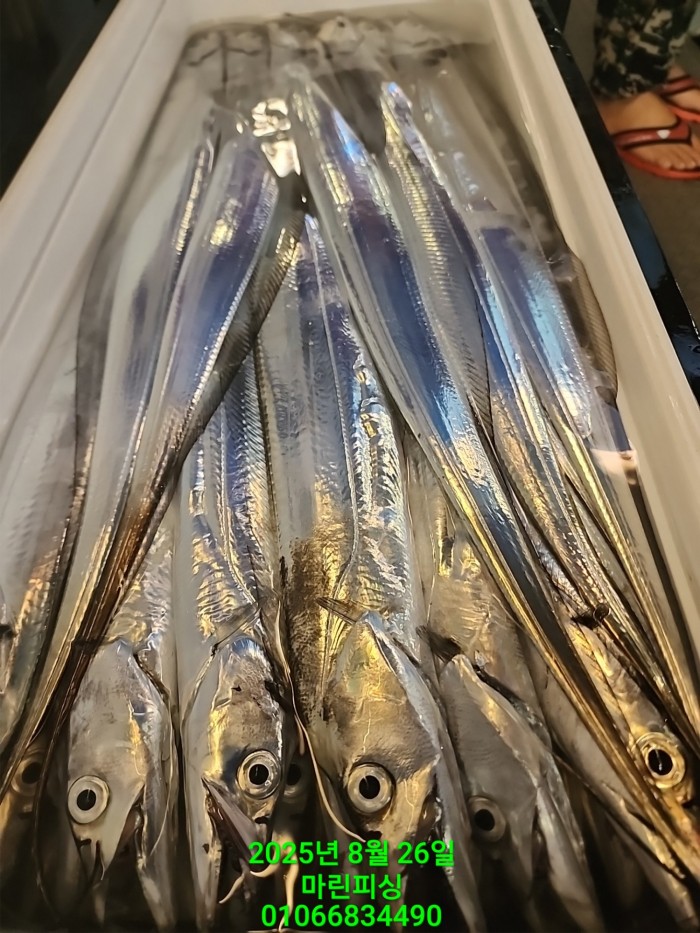 69759eb2e94e42ee56b861a6d58949c3_1756165621_7848.jpg 69759eb2e94e42ee56b861a6d58949c3_1756165621_7848.jpg