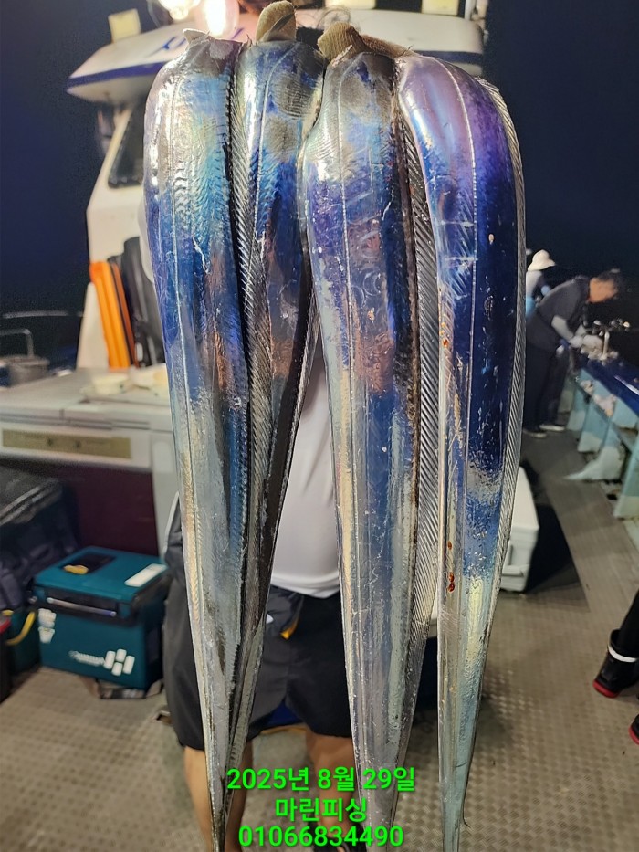 a8985d5539f7dd9e106e6e0c16df0d70_1756425065_1254.jpg a8985d5539f7dd9e106e6e0c16df0d70_1756425065_1254.jpg