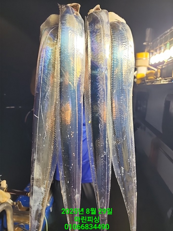 a8985d5539f7dd9e106e6e0c16df0d70_1756425070_8905.jpg a8985d5539f7dd9e106e6e0c16df0d70_1756425070_8905.jpg