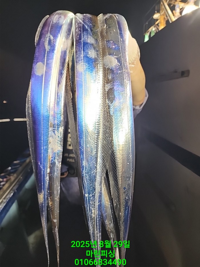 a8985d5539f7dd9e106e6e0c16df0d70_1756425072_2153.jpg a8985d5539f7dd9e106e6e0c16df0d70_1756425072_2153.jpg