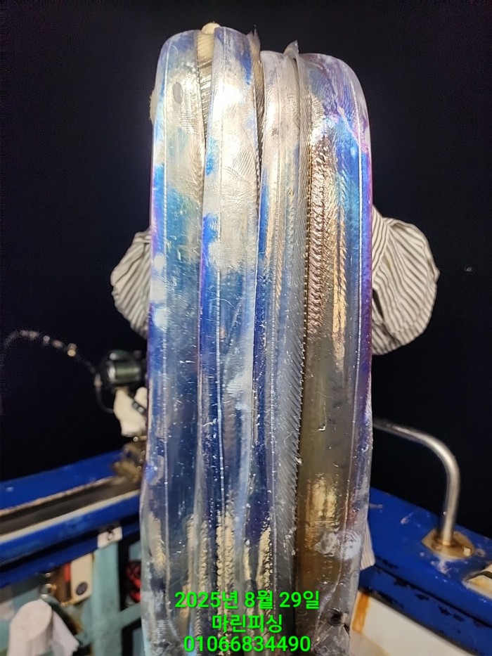 a8985d5539f7dd9e106e6e0c16df0d70_1756425075_1222.jpg a8985d5539f7dd9e106e6e0c16df0d70_1756425075_1222.jpg