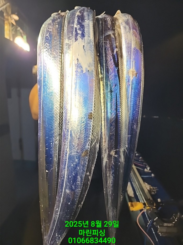 a8985d5539f7dd9e106e6e0c16df0d70_1756425077_9821.jpg a8985d5539f7dd9e106e6e0c16df0d70_1756425077_9821.jpg