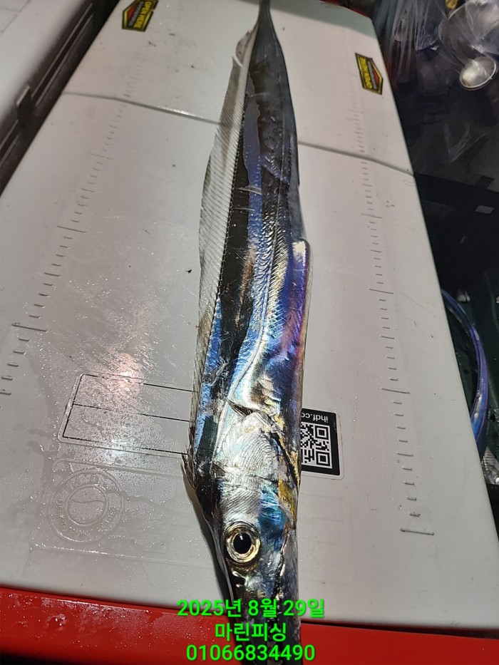 a8985d5539f7dd9e106e6e0c16df0d70_1756425081_2324.jpg a8985d5539f7dd9e106e6e0c16df0d70_1756425081_2324.jpg