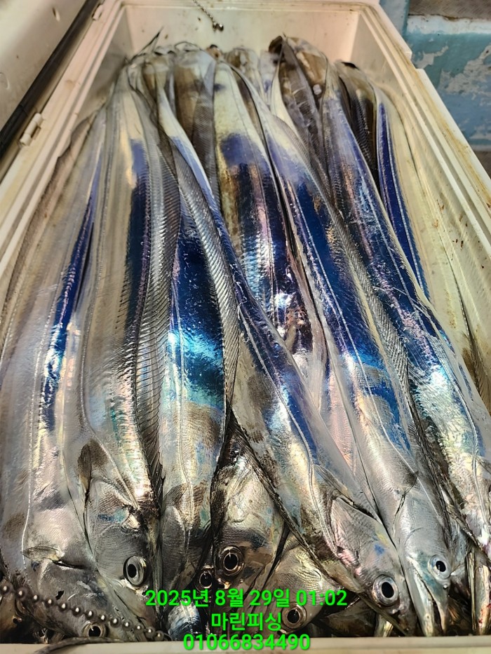 a8985d5539f7dd9e106e6e0c16df0d70_1756425083_0581.jpg a8985d5539f7dd9e106e6e0c16df0d70_1756425083_0581.jpg