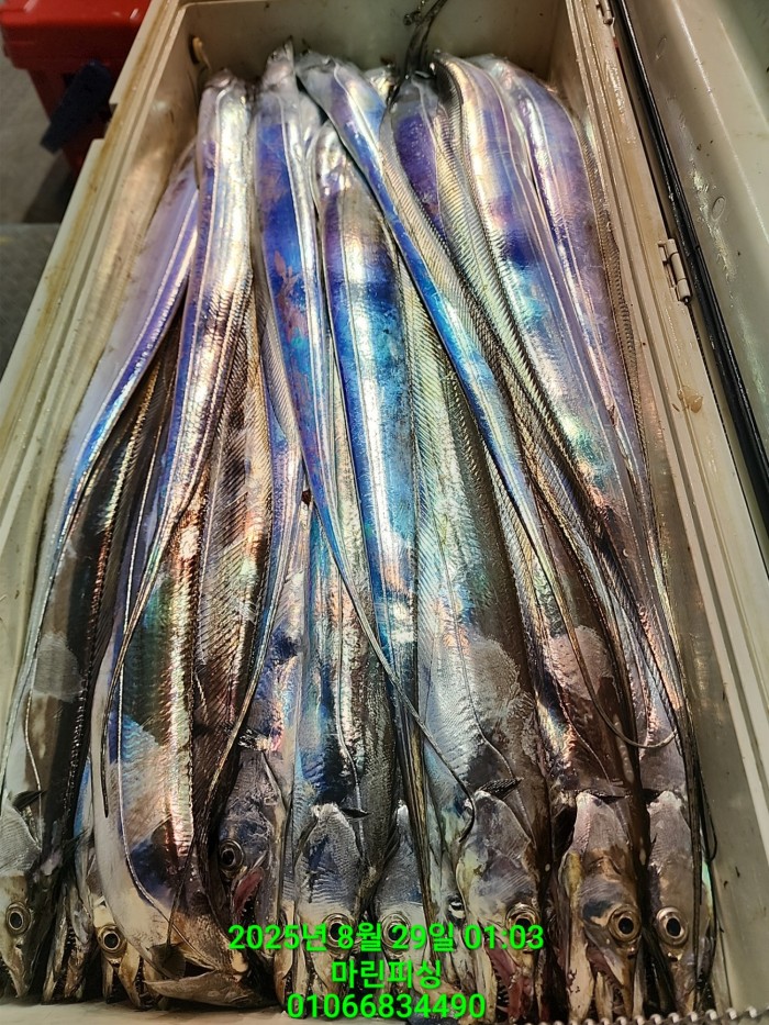 a8985d5539f7dd9e106e6e0c16df0d70_1756425085_0939.jpg a8985d5539f7dd9e106e6e0c16df0d70_1756425085_0939.jpg