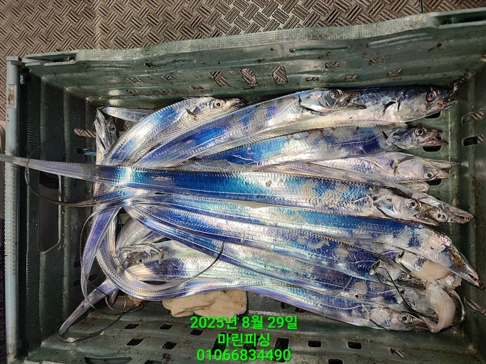 a8985d5539f7dd9e106e6e0c16df0d70_1756425087_2653.jpg a8985d5539f7dd9e106e6e0c16df0d70_1756425087_2653.jpg