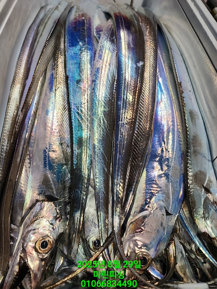 a8985d5539f7dd9e106e6e0c16df0d70_1756425089_1307.jpg a8985d5539f7dd9e106e6e0c16df0d70_1756425089_1307.jpg