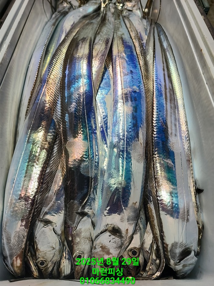 a8985d5539f7dd9e106e6e0c16df0d70_1756425090_9322.jpg a8985d5539f7dd9e106e6e0c16df0d70_1756425090_9322.jpg