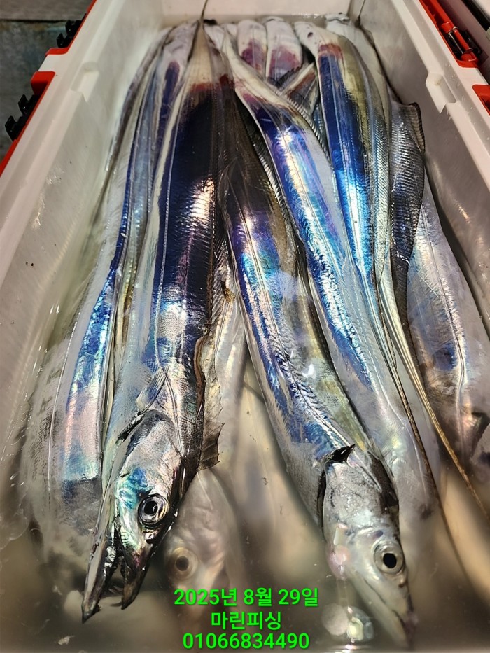 a8985d5539f7dd9e106e6e0c16df0d70_1756425092_6415.jpg a8985d5539f7dd9e106e6e0c16df0d70_1756425092_6415.jpg