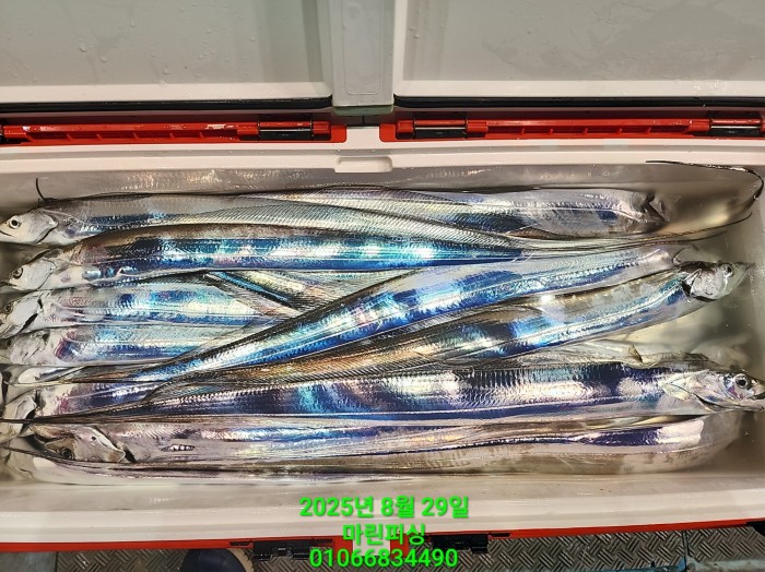 a8985d5539f7dd9e106e6e0c16df0d70_1756425094_4586.jpg a8985d5539f7dd9e106e6e0c16df0d70_1756425094_4586.jpg