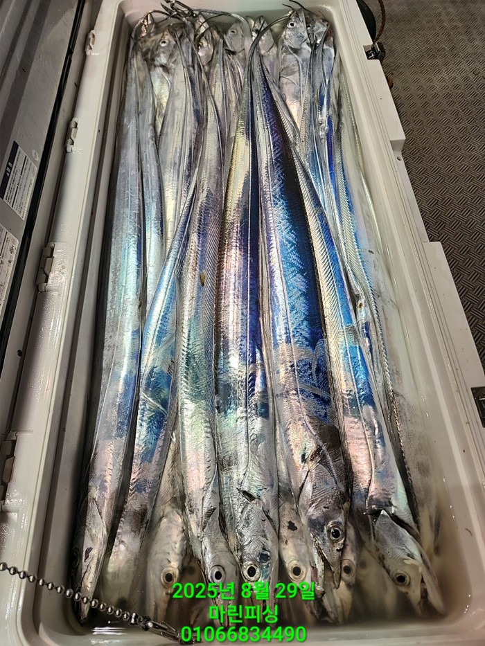 a8985d5539f7dd9e106e6e0c16df0d70_1756425096_2701.jpg a8985d5539f7dd9e106e6e0c16df0d70_1756425096_2701.jpg