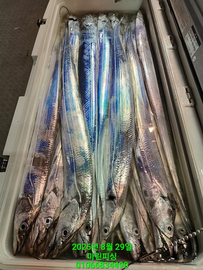 a8985d5539f7dd9e106e6e0c16df0d70_1756425098_129.jpg a8985d5539f7dd9e106e6e0c16df0d70_1756425098_129.jpg