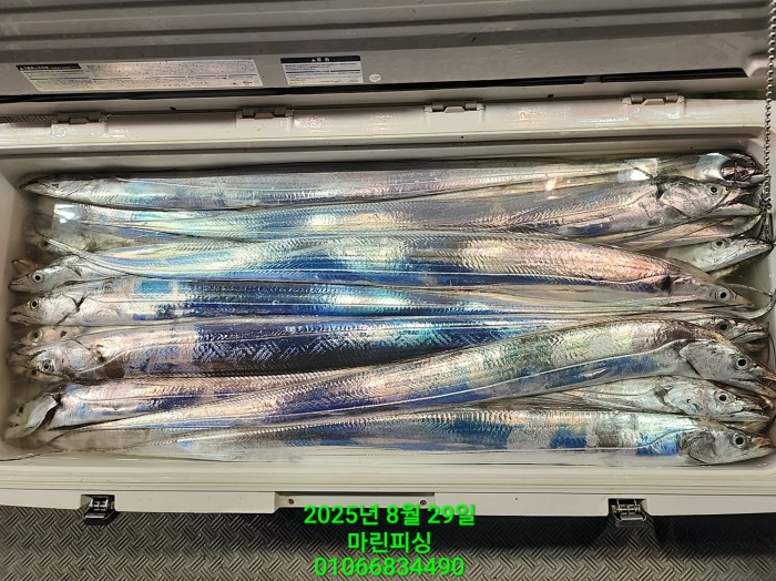 a8985d5539f7dd9e106e6e0c16df0d70_1756425100_0341.jpg a8985d5539f7dd9e106e6e0c16df0d70_1756425100_0341.jpg