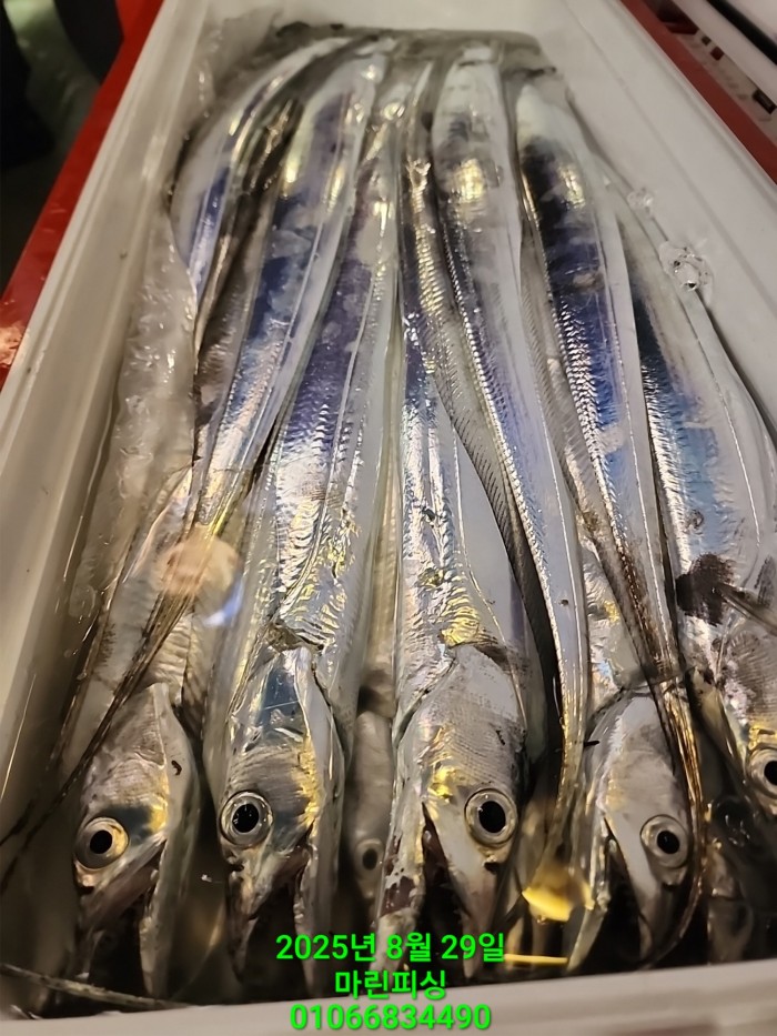 a8985d5539f7dd9e106e6e0c16df0d70_1756425101_3254.jpg a8985d5539f7dd9e106e6e0c16df0d70_1756425101_3254.jpg