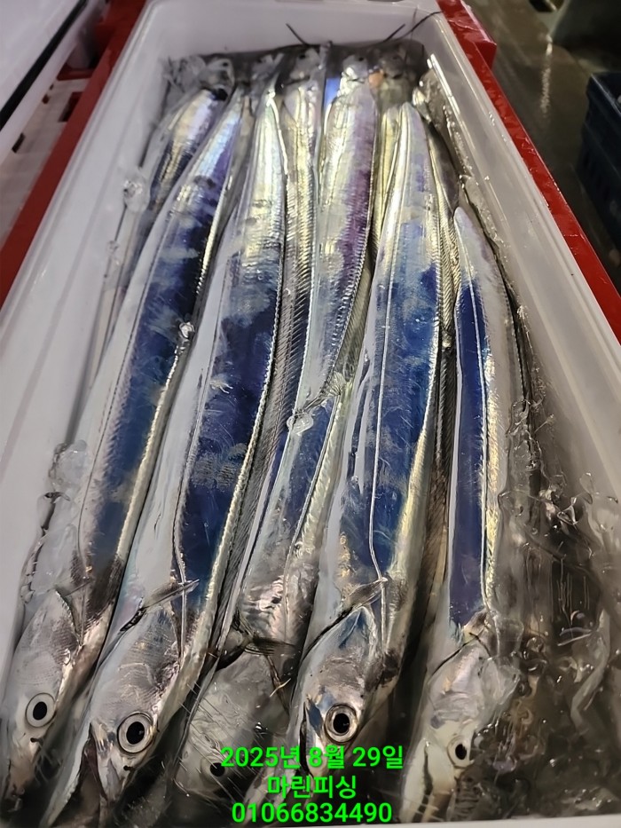 a8985d5539f7dd9e106e6e0c16df0d70_1756425102_7803.jpg a8985d5539f7dd9e106e6e0c16df0d70_1756425102_7803.jpg