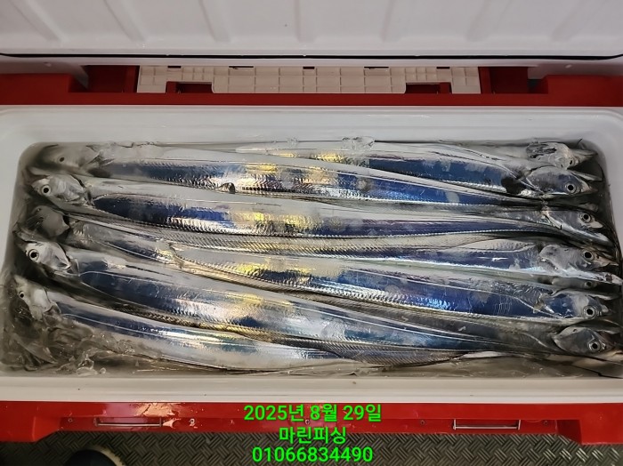 a8985d5539f7dd9e106e6e0c16df0d70_1756425104_2423.jpg a8985d5539f7dd9e106e6e0c16df0d70_1756425104_2423.jpg