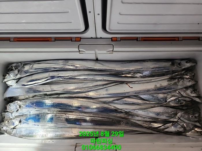 a8985d5539f7dd9e106e6e0c16df0d70_1756425105_5174.jpg a8985d5539f7dd9e106e6e0c16df0d70_1756425105_5174.jpg