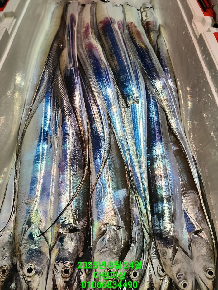 ab3d6fcf488c2a1ffb4b7d69f4bbc902_1755993189_7545.jpg ab3d6fcf488c2a1ffb4b7d69f4bbc902_1755993189_7545.jpg