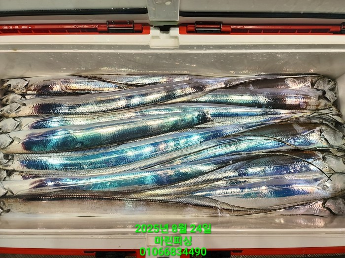 ab3d6fcf488c2a1ffb4b7d69f4bbc902_1755993191_7355.jpg ab3d6fcf488c2a1ffb4b7d69f4bbc902_1755993191_7355.jpg