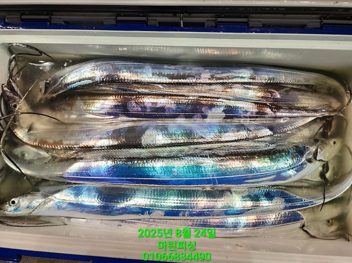 ab3d6fcf488c2a1ffb4b7d69f4bbc902_1755993193_5683.jpg ab3d6fcf488c2a1ffb4b7d69f4bbc902_1755993193_5683.jpg