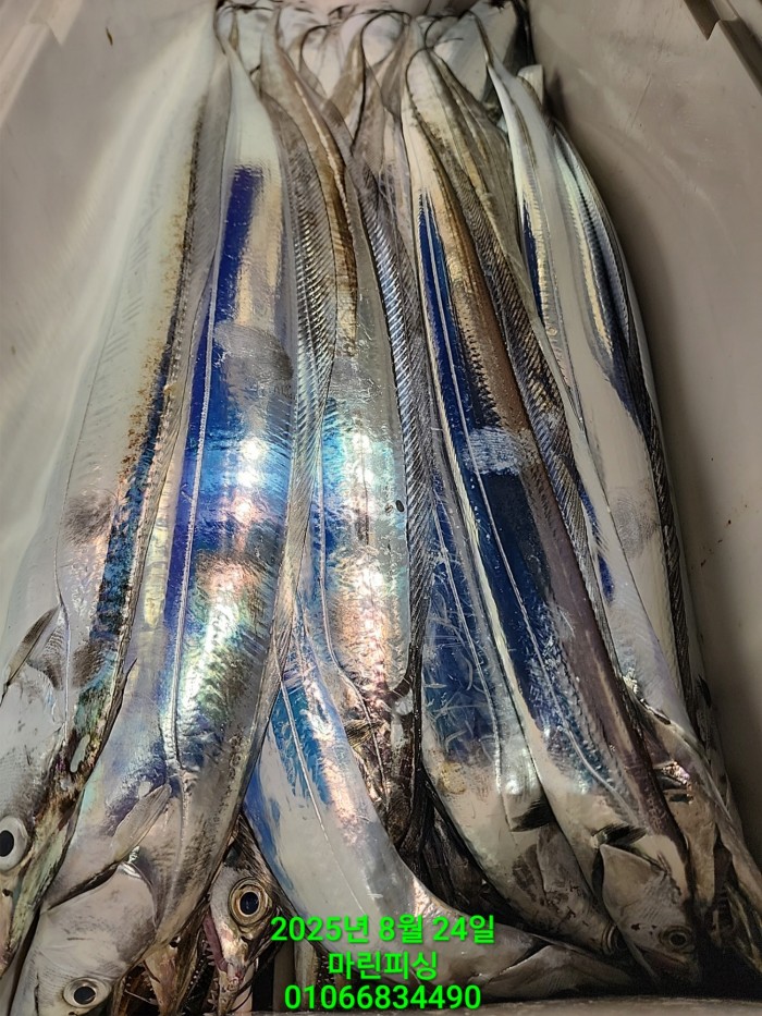 ab3d6fcf488c2a1ffb4b7d69f4bbc902_1755993195_2012.jpg ab3d6fcf488c2a1ffb4b7d69f4bbc902_1755993195_2012.jpg