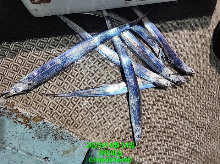 ab3d6fcf488c2a1ffb4b7d69f4bbc902_1755993197_5685.jpg ab3d6fcf488c2a1ffb4b7d69f4bbc902_1755993197_5685.jpg