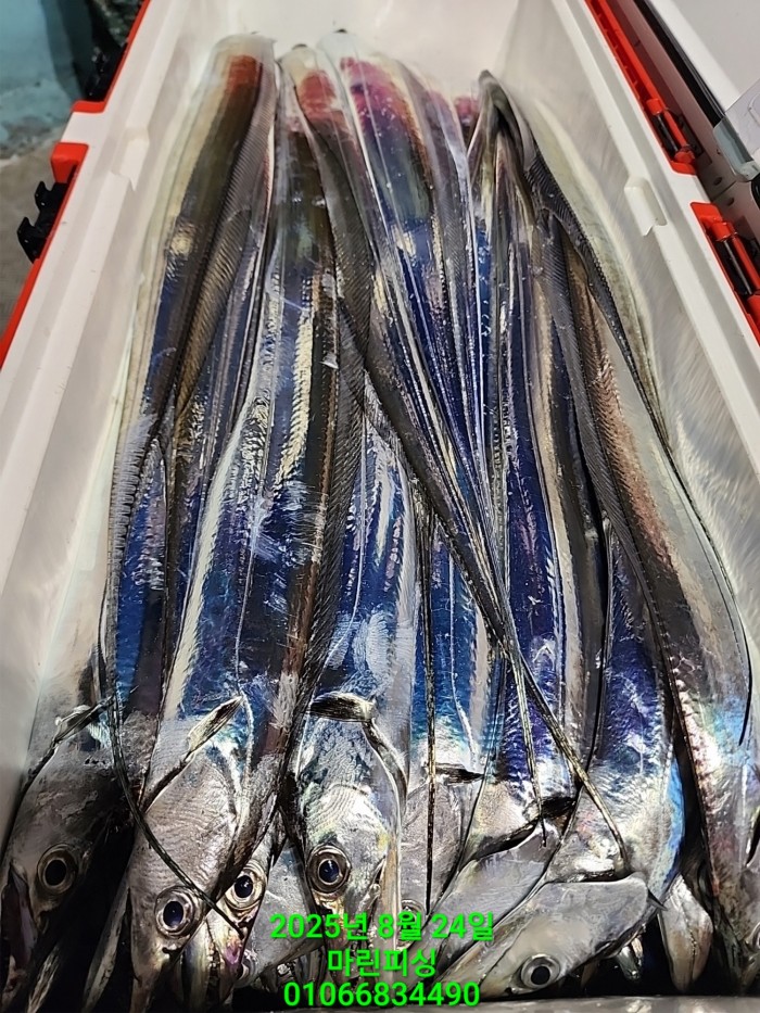 ab3d6fcf488c2a1ffb4b7d69f4bbc902_1755993199_2904.jpg ab3d6fcf488c2a1ffb4b7d69f4bbc902_1755993199_2904.jpg