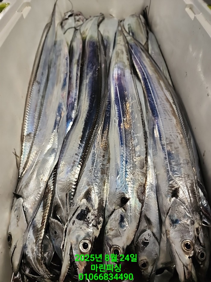 ab3d6fcf488c2a1ffb4b7d69f4bbc902_1755993200_7324.jpg ab3d6fcf488c2a1ffb4b7d69f4bbc902_1755993200_7324.jpg