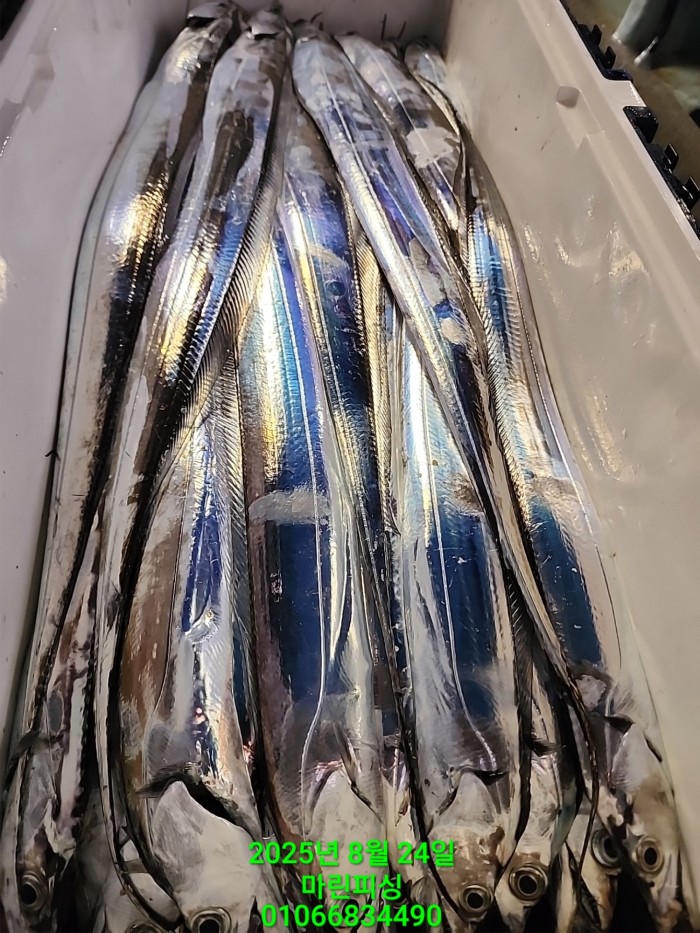 ab3d6fcf488c2a1ffb4b7d69f4bbc902_1755993202_2449.jpg ab3d6fcf488c2a1ffb4b7d69f4bbc902_1755993202_2449.jpg