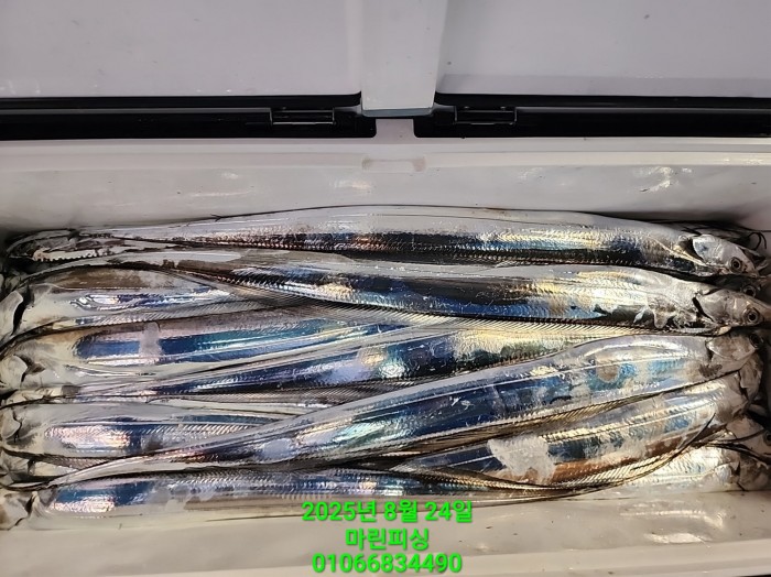 ab3d6fcf488c2a1ffb4b7d69f4bbc902_1755993203_7189.jpg ab3d6fcf488c2a1ffb4b7d69f4bbc902_1755993203_7189.jpg